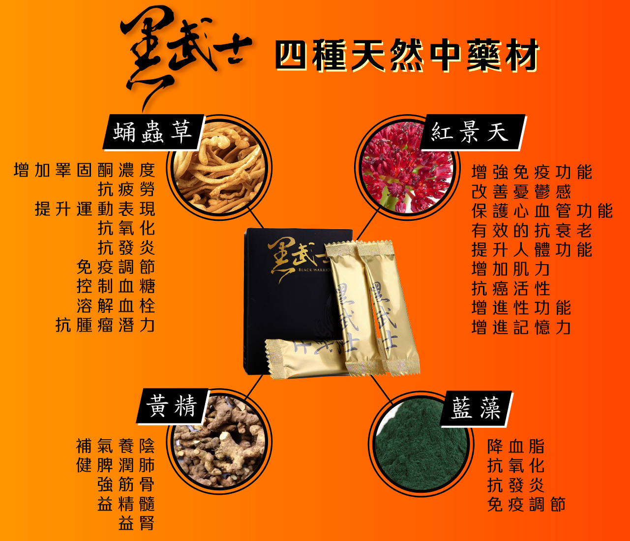 黑武士四種天然中藥材--藍藻／紅景天/蛹蟲草/黃精